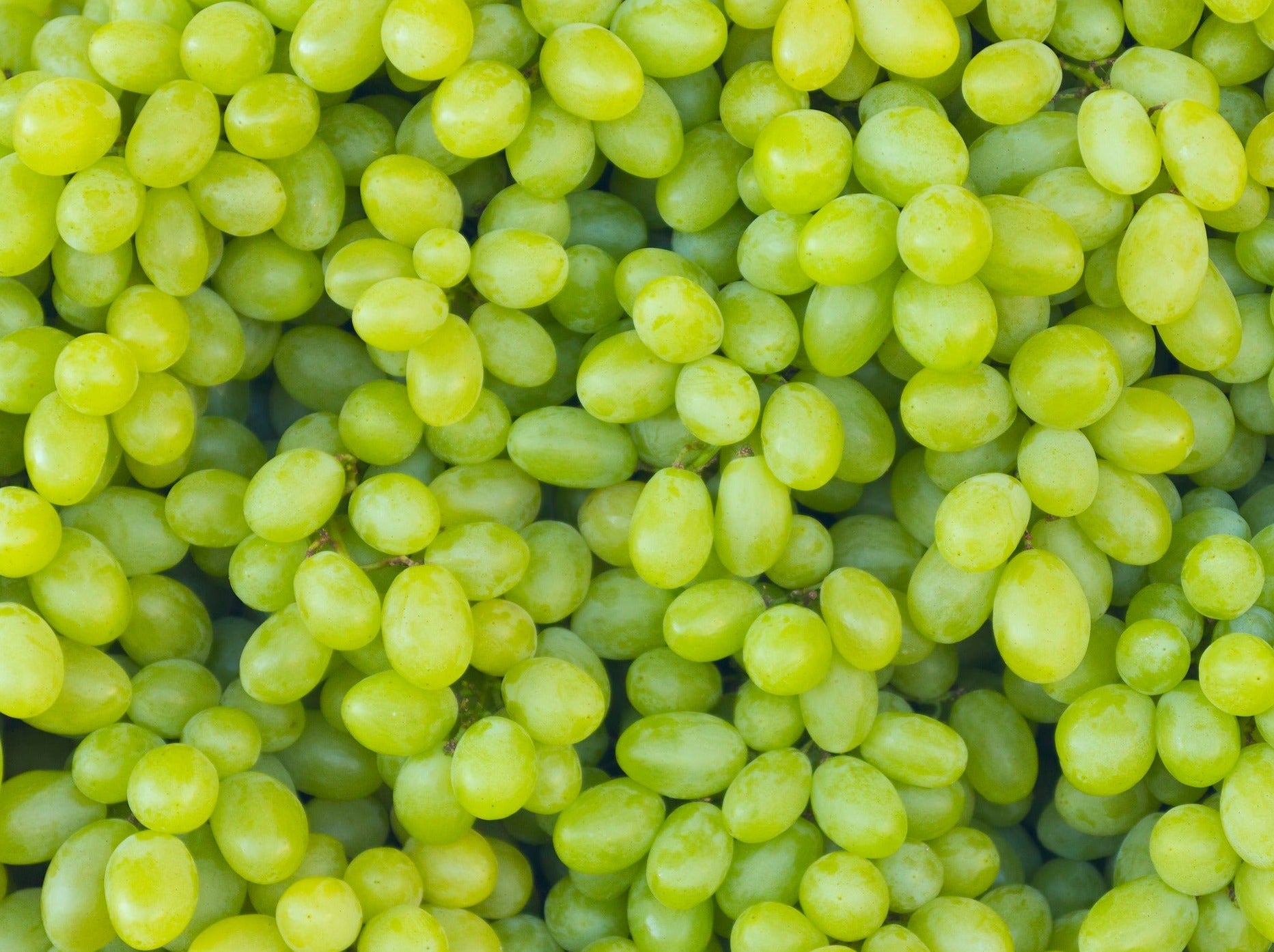 USA Organic Seedless Grapes - Green (Fumigated)
