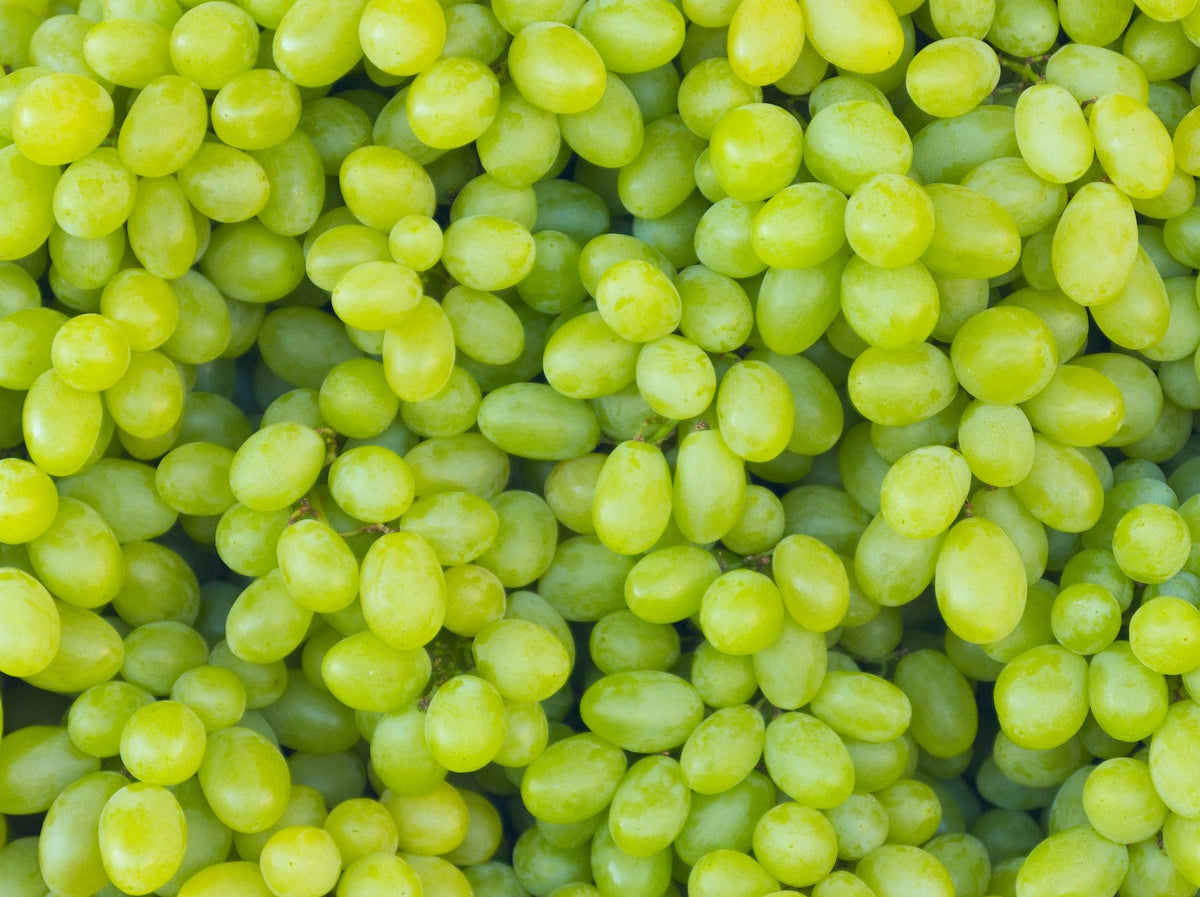 USA Seedless Grapes - Green (Fumigated)