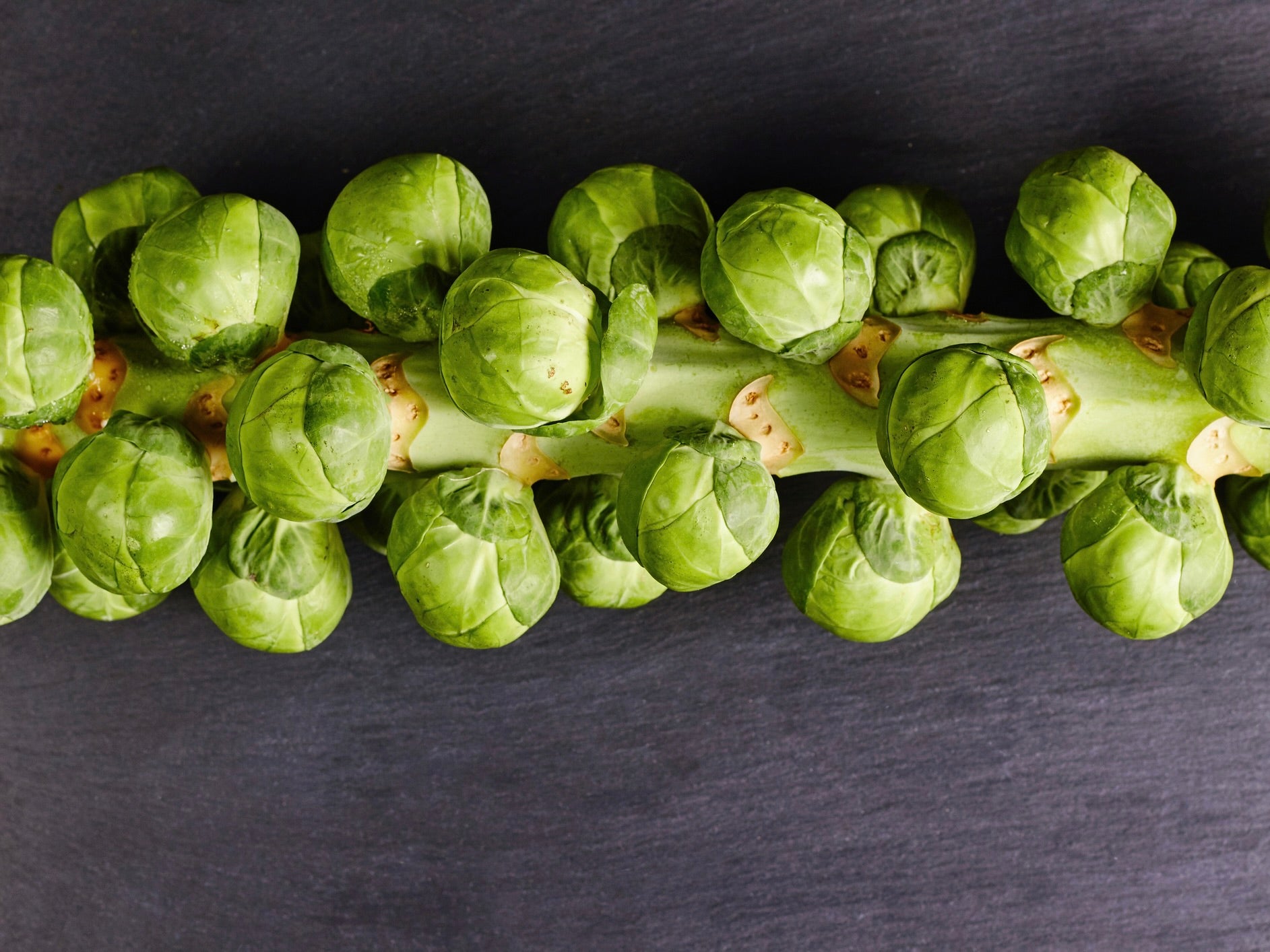 Streamside Organic Brussel Sprout Stems LARGE