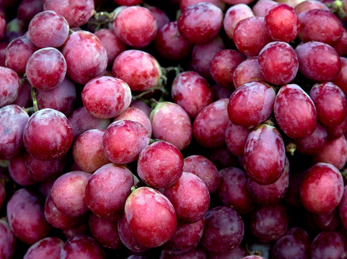 USA Seedless Grapes - Red (Fumigated)