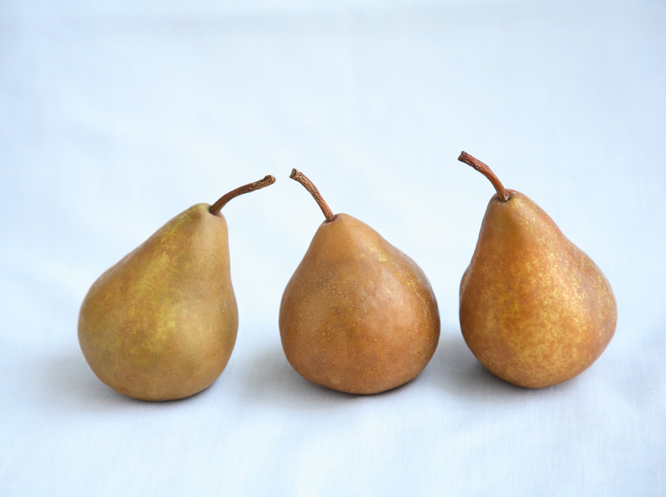 NZ Organic Pears - Winter Nellis