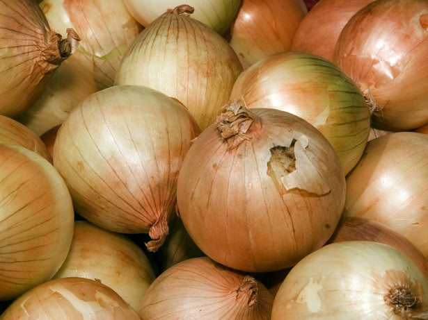 Streamside Organics' Organic Onions - Brown