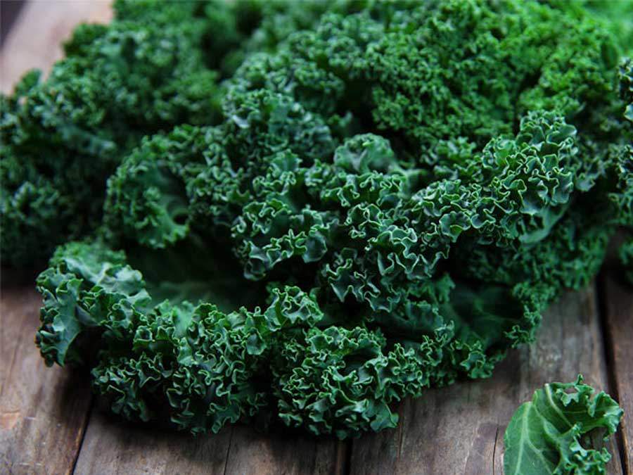 Streamside Organics' Organic Kale