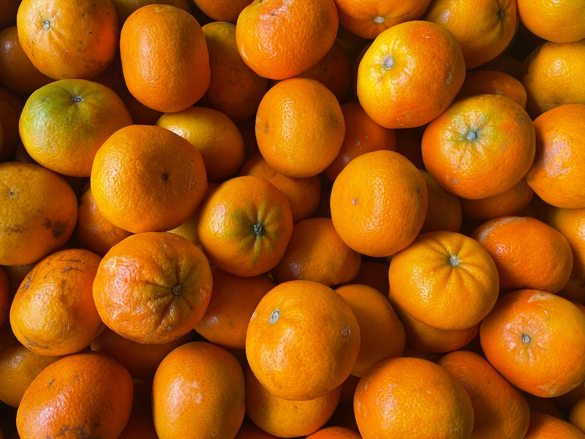 Kerikeri Organic Mandarins - Encore