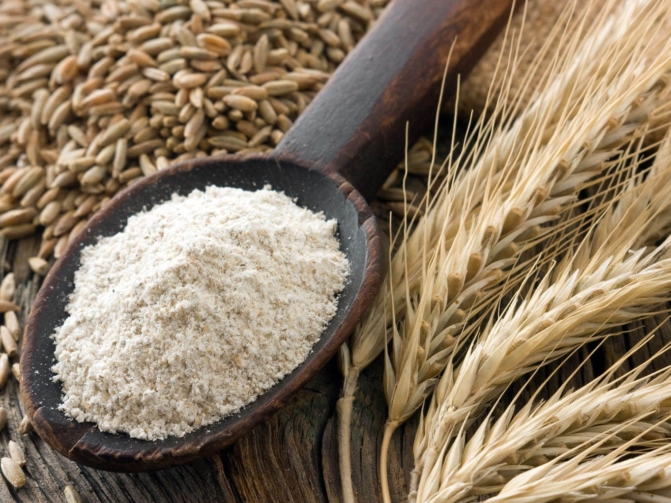 NZ Organic Zentrofan Milled Whole Rye Flour
