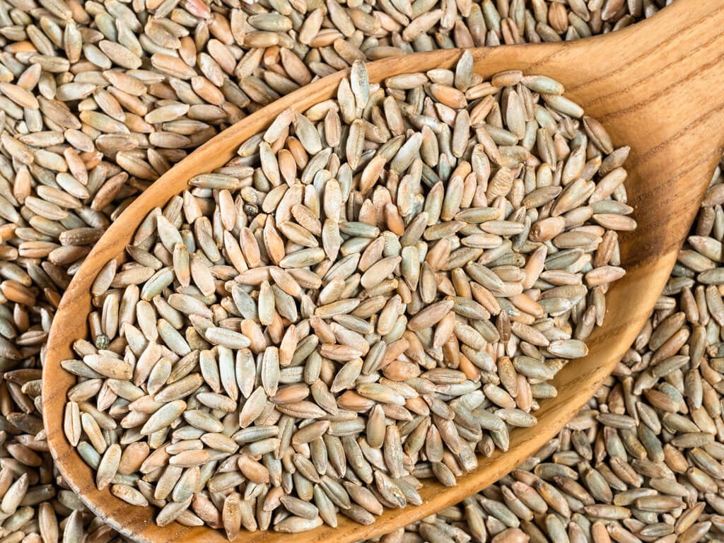 NZ Organic Rye