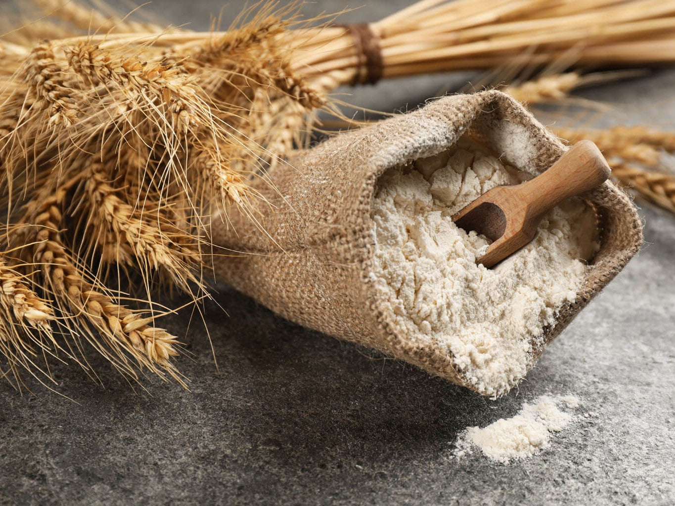 NZ Organic Zentrofan Milled Whole Wheat Flour