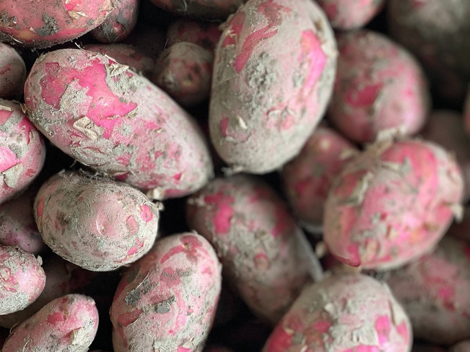 Hastings Organic Potatoes - Red