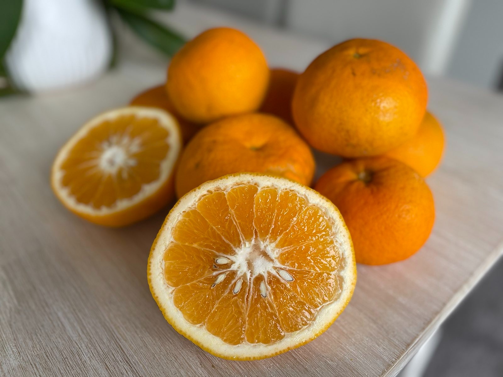 Palmy Organic Grapefruit