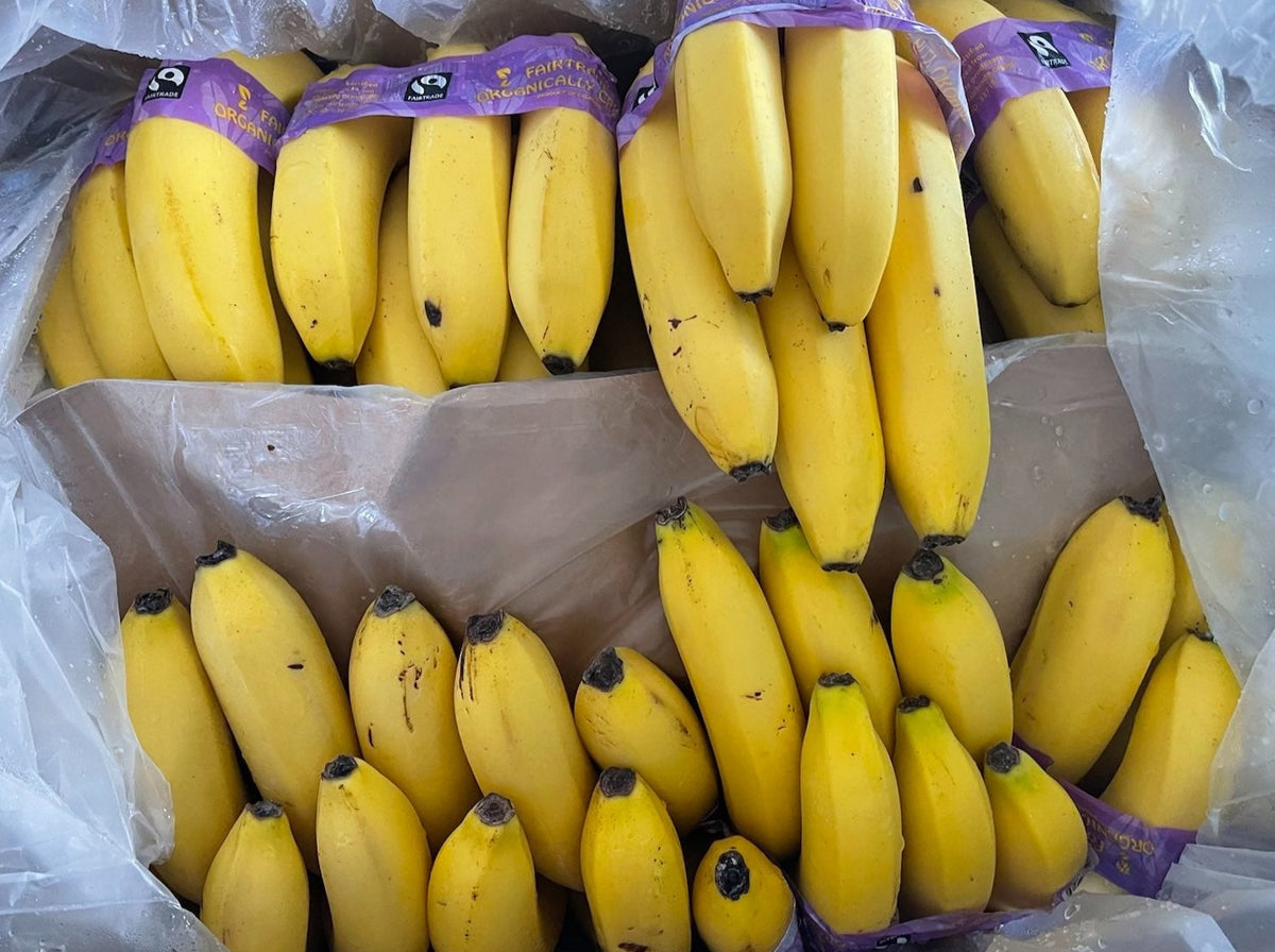All Good Bananas - Fumigated READY TO EAT/RIPE