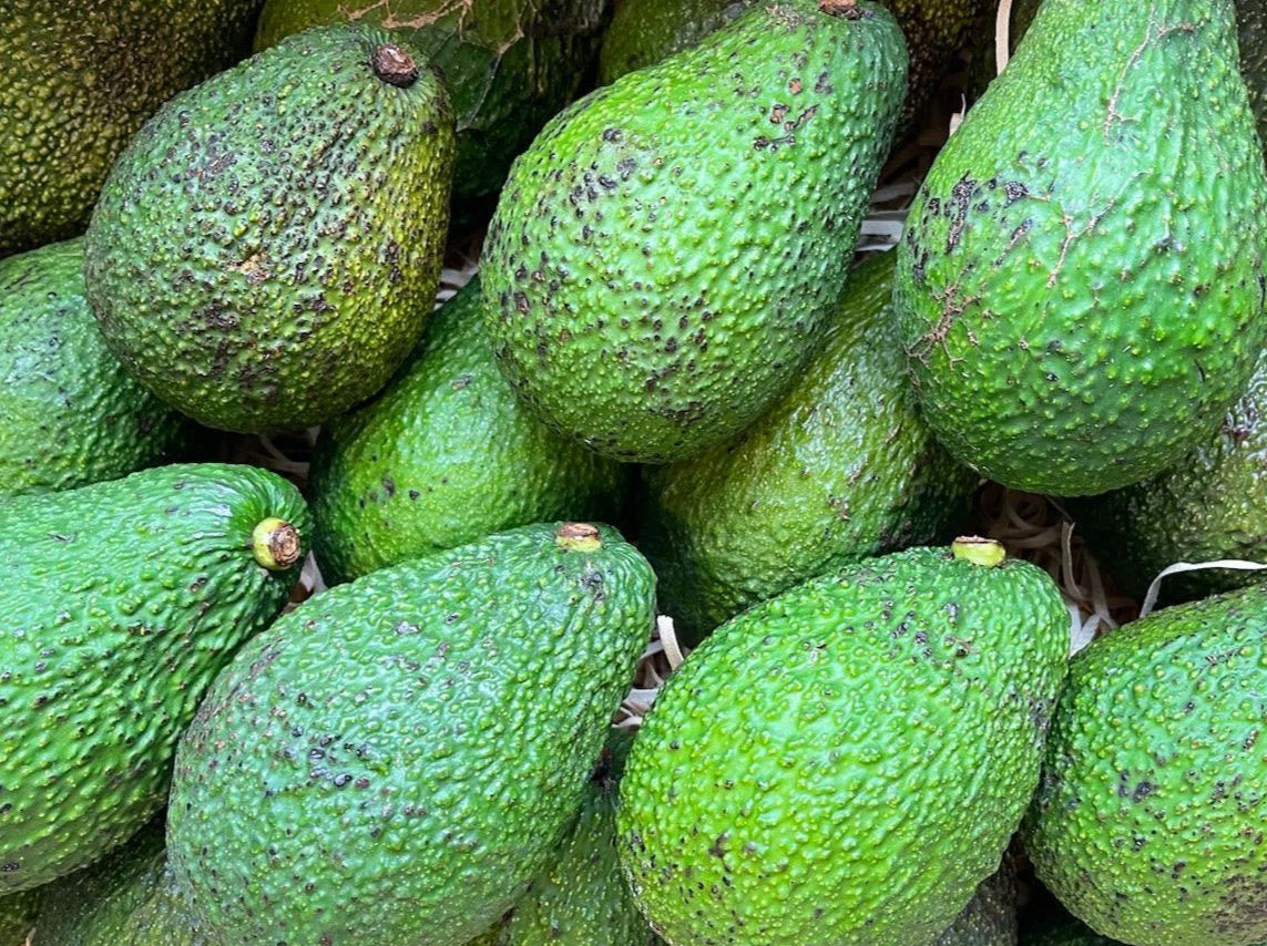 Katikati Organic "Ugly Avos" - Hass MED/LGE