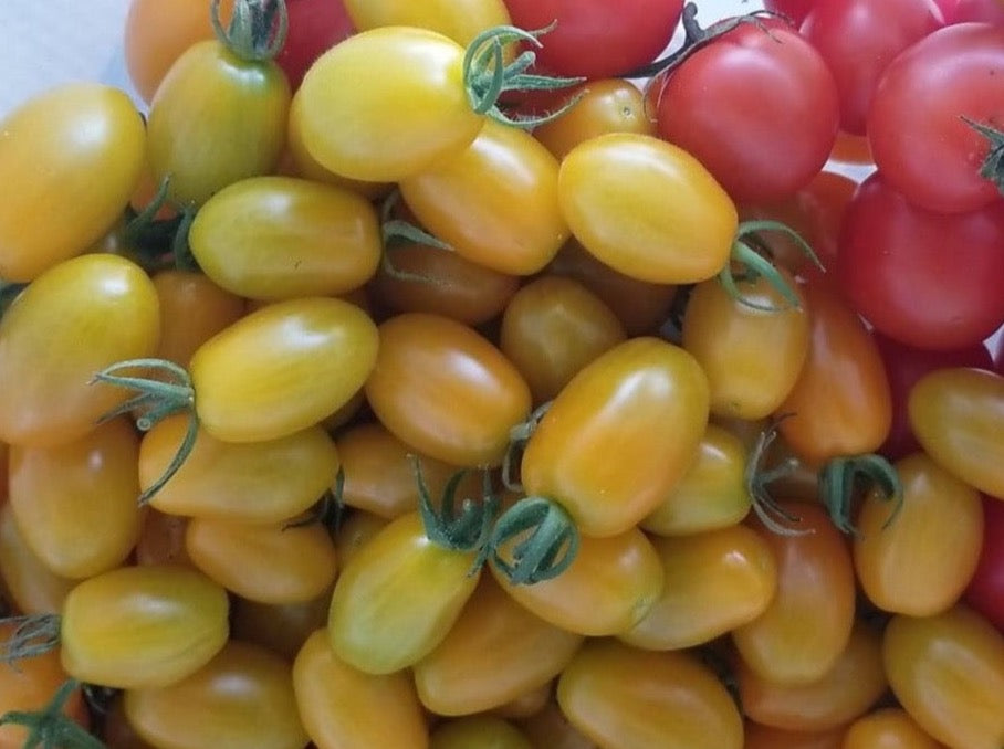 Crooked Vege Organic Yellow Pear & Red Cherry Tomato Mix