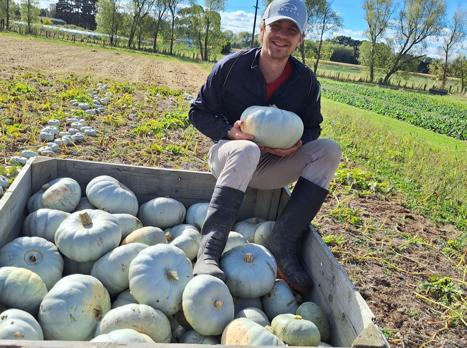 Live2Give Farm Organic Pumpkin - Crown