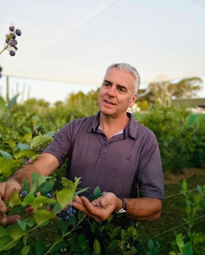Lawson's True Earth Hawke's Bay Organic Blueberries