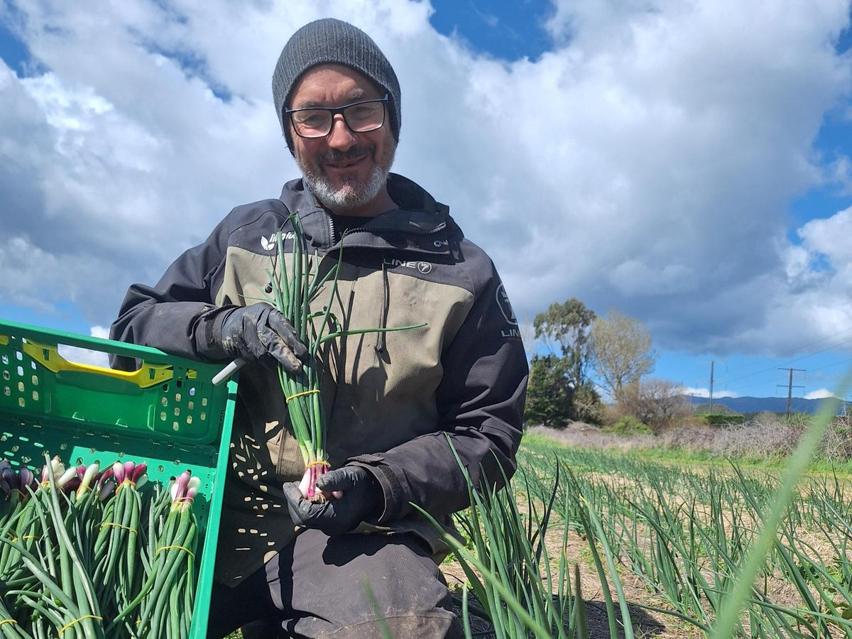 Live2Give Farm Organic Spring Onions - Bunch