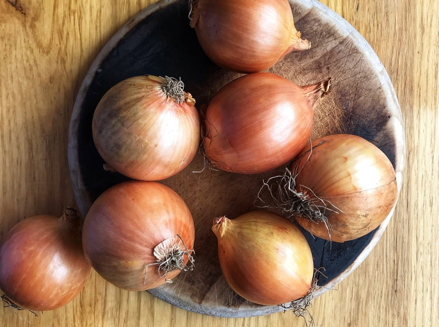Streamside Organics' Organic Onions - Brown