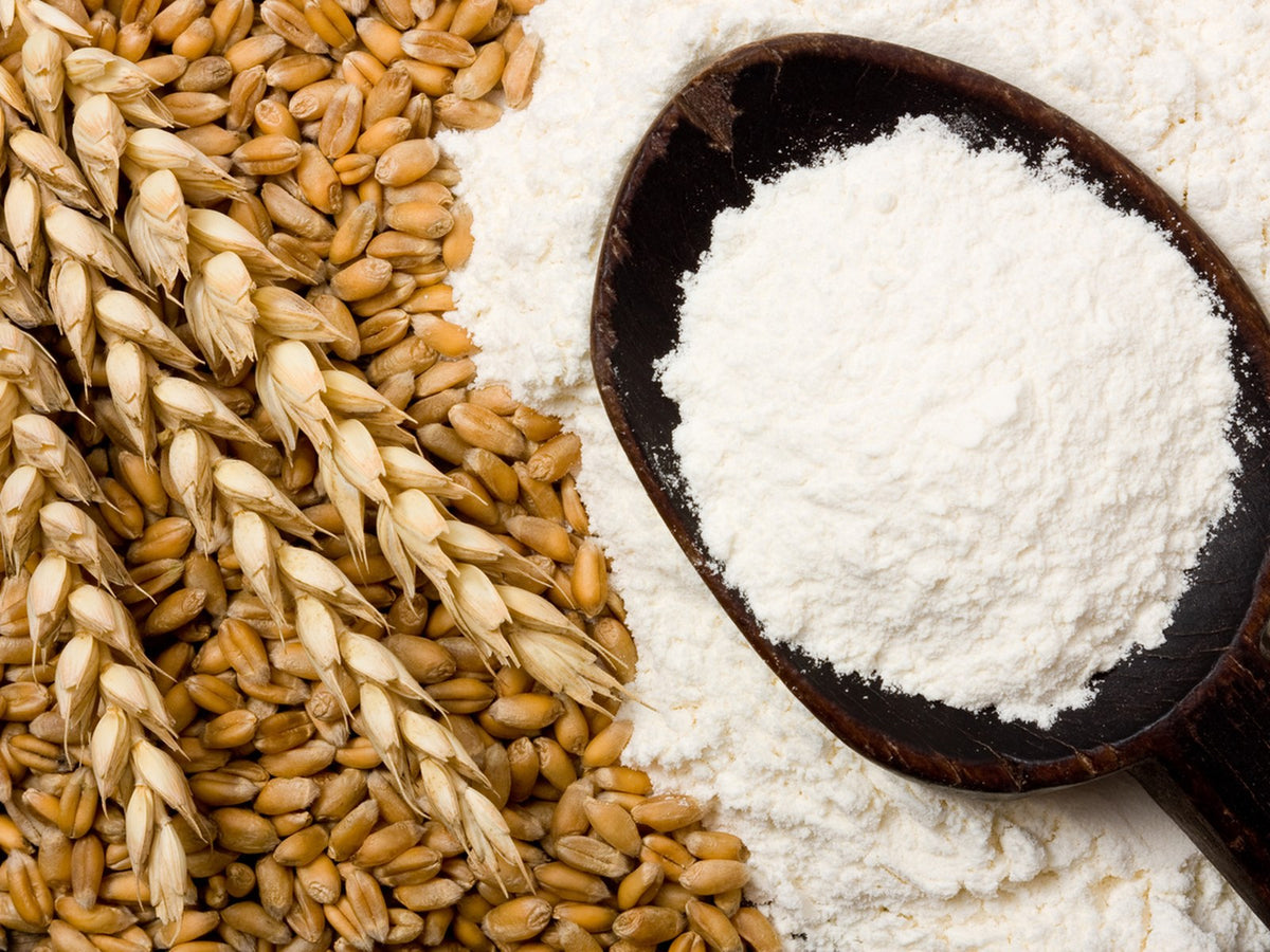 Organic White Flour - Plain (Australian)