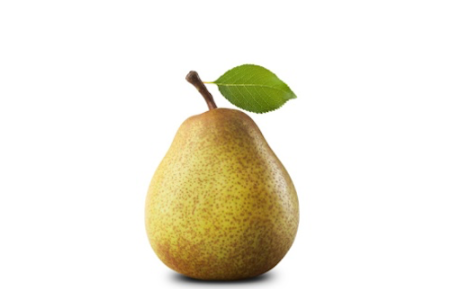 NZ Organic Pears - Winter Nellis