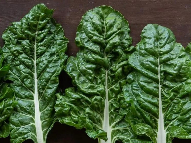 Live2Give Farm Organic Silverbeet