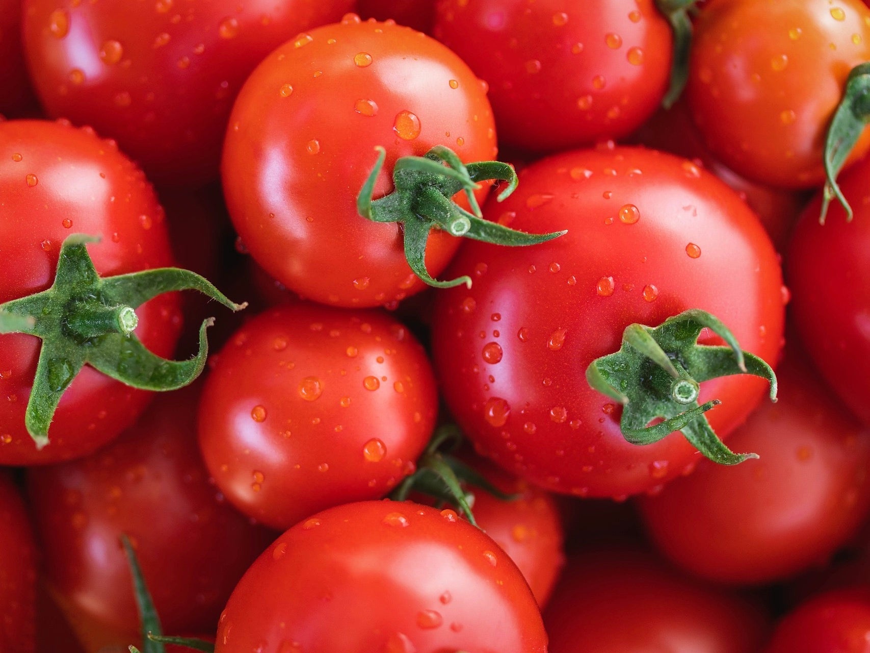 NZ Spray-Free Tomatoes