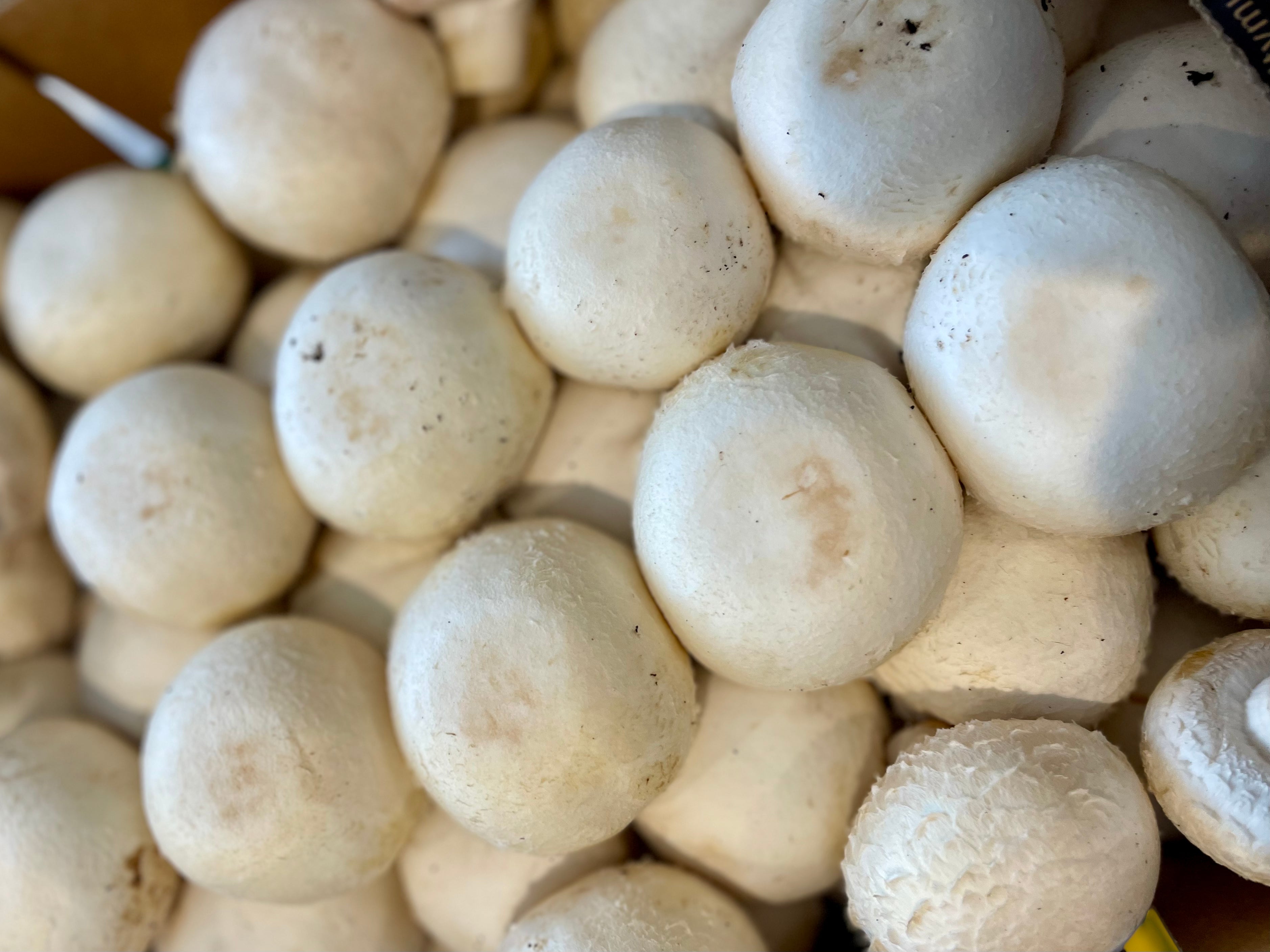 NZ Organic Mushrooms - White Button
