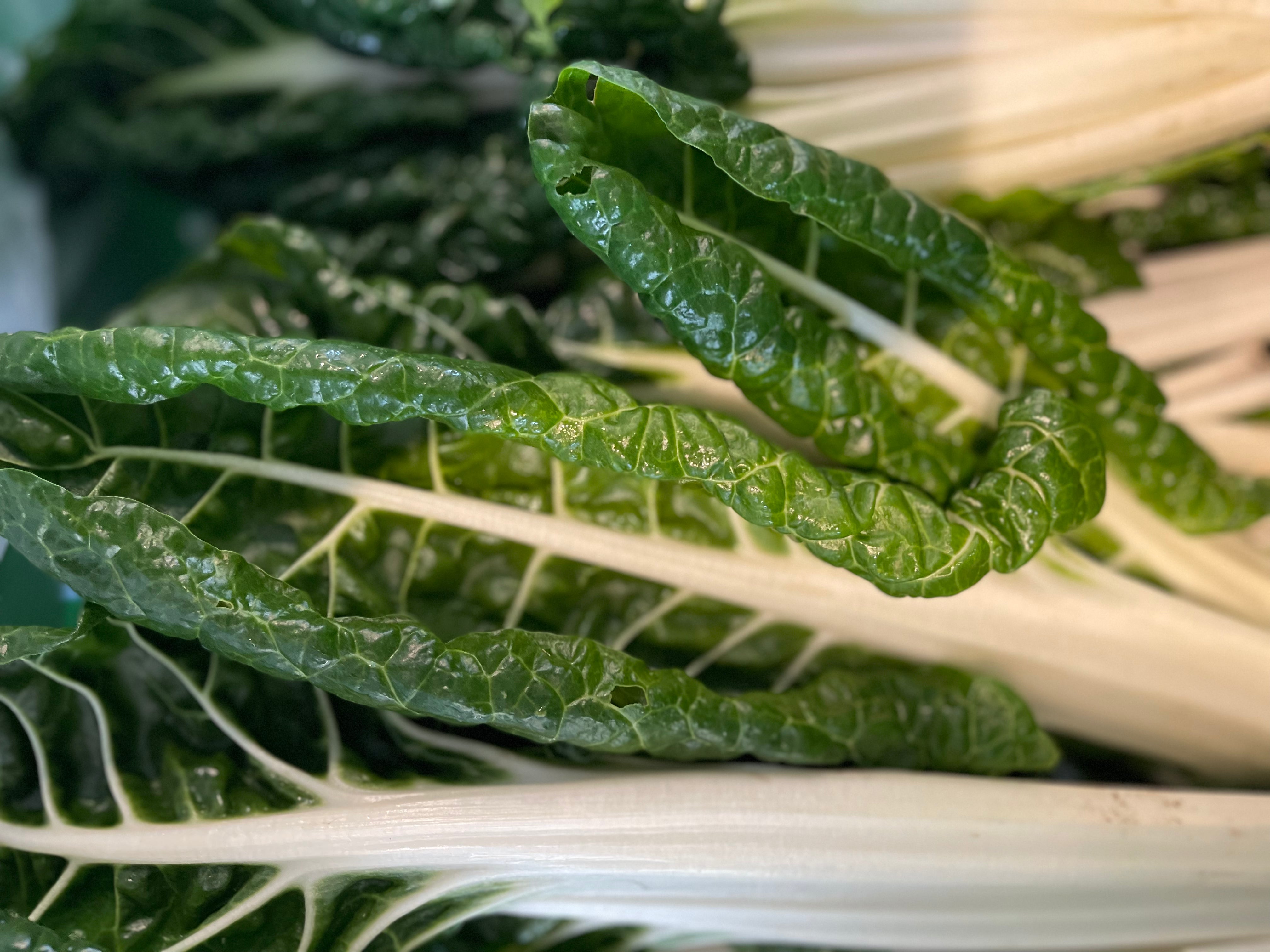 Live2Give Farm Organic Silverbeet