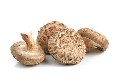 Lovello Estate Spray Free (not organic) Shiitake Mushrooms
