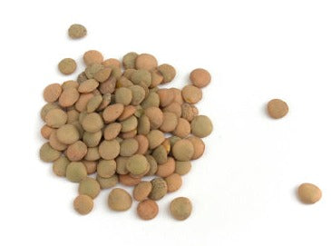 Organic Brown Lentils