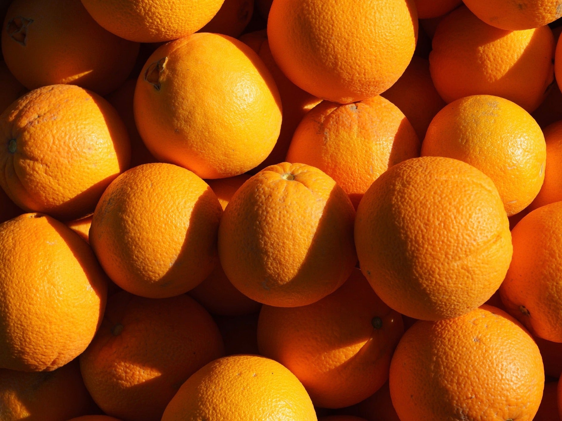 Tauranga Spray Free (not organic) Oranges - Navel