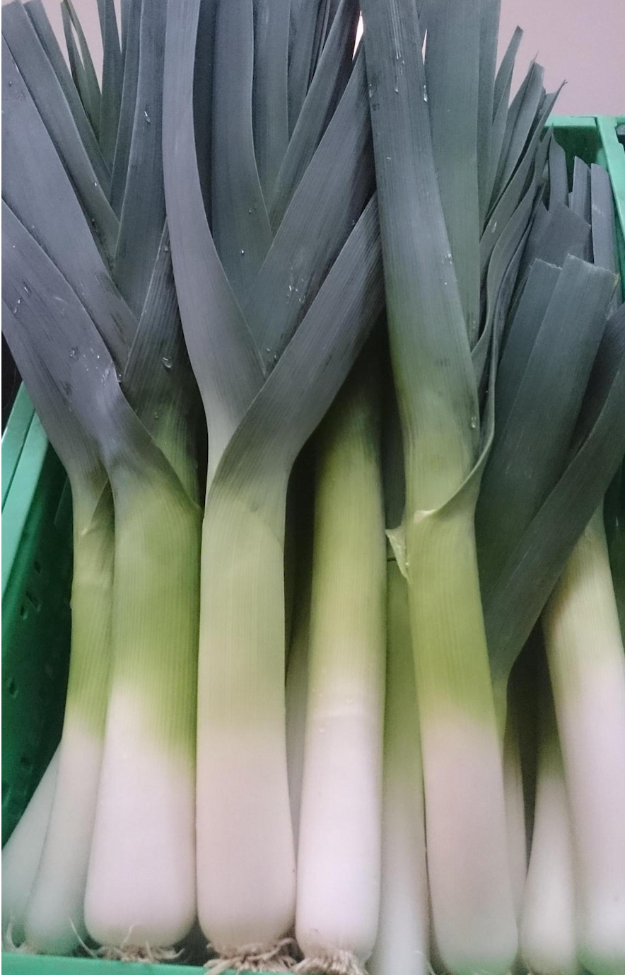 Live2Give Farm Organic Leeks EACH