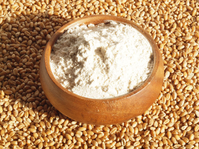 NZ Organic Zentrofan Milled Whole Wheat Flour