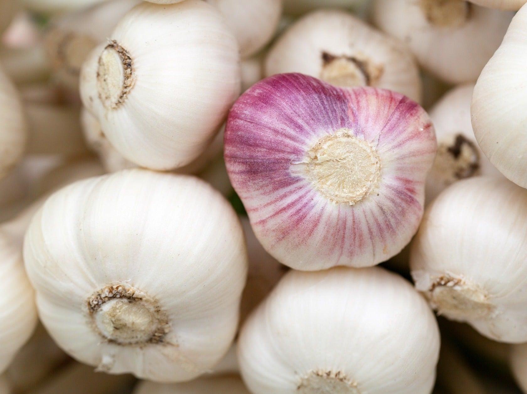 Organic Crushed Garlic 185 g jar