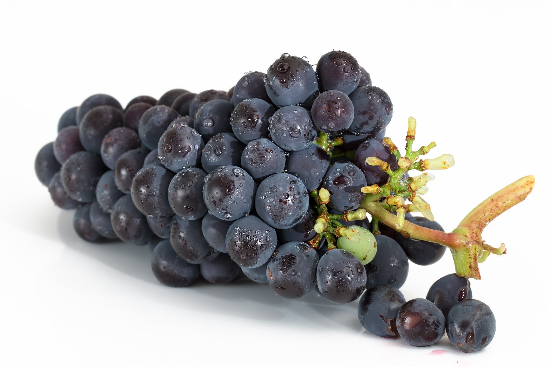 Tauranga Organic Grapes - Black