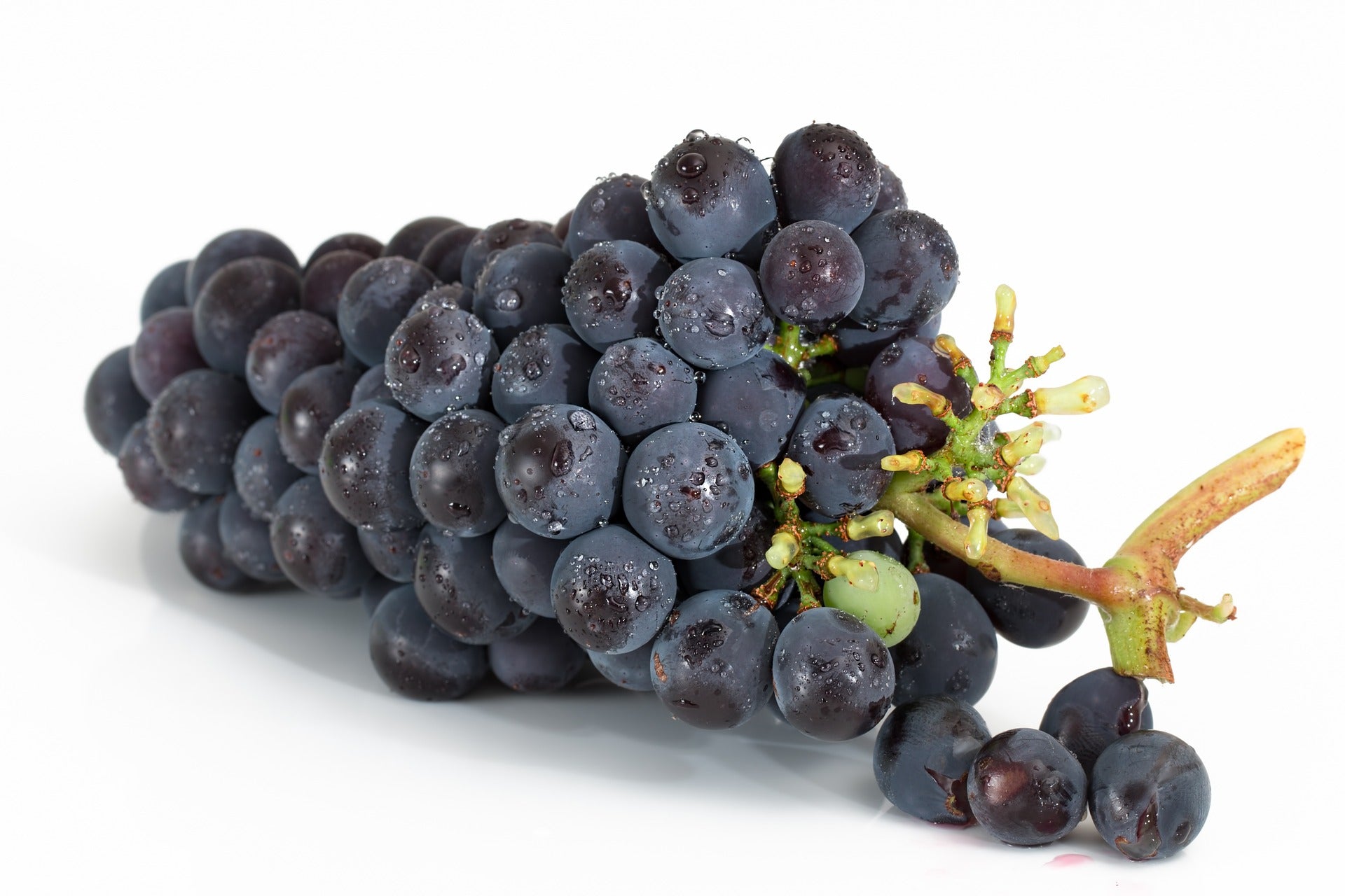 Gisborne Organic Grapes - Black