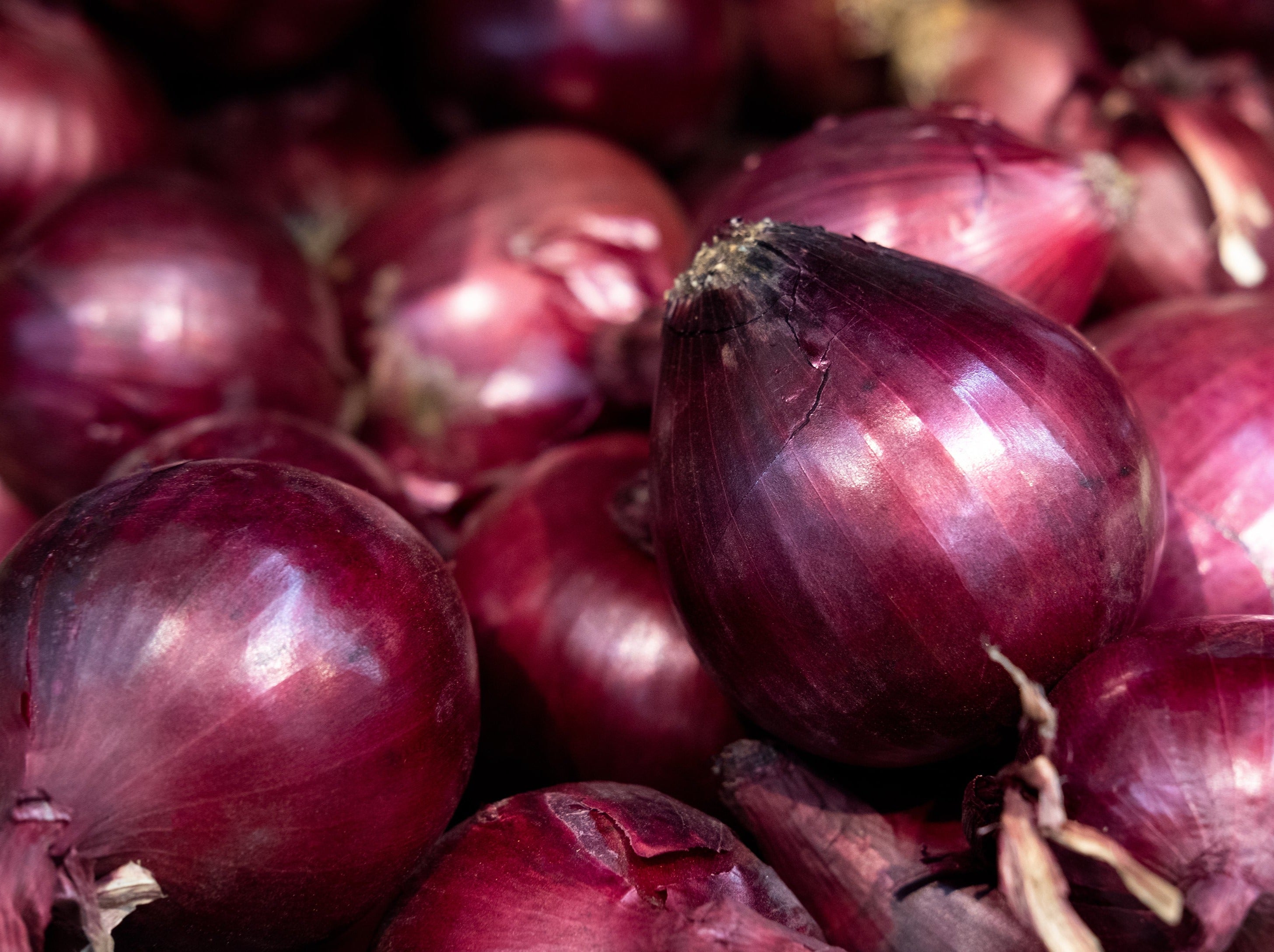 Hastings Organic Onions - Red