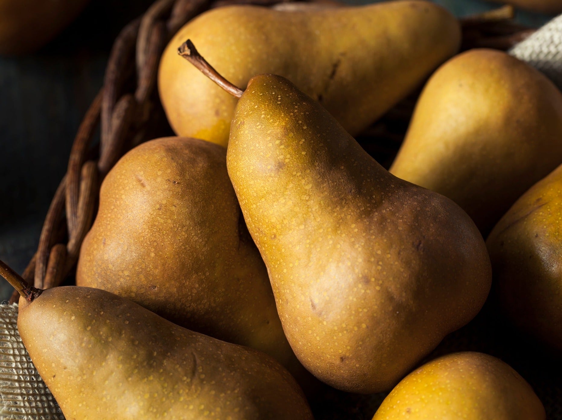 NZ Organic Pears - Bosc
