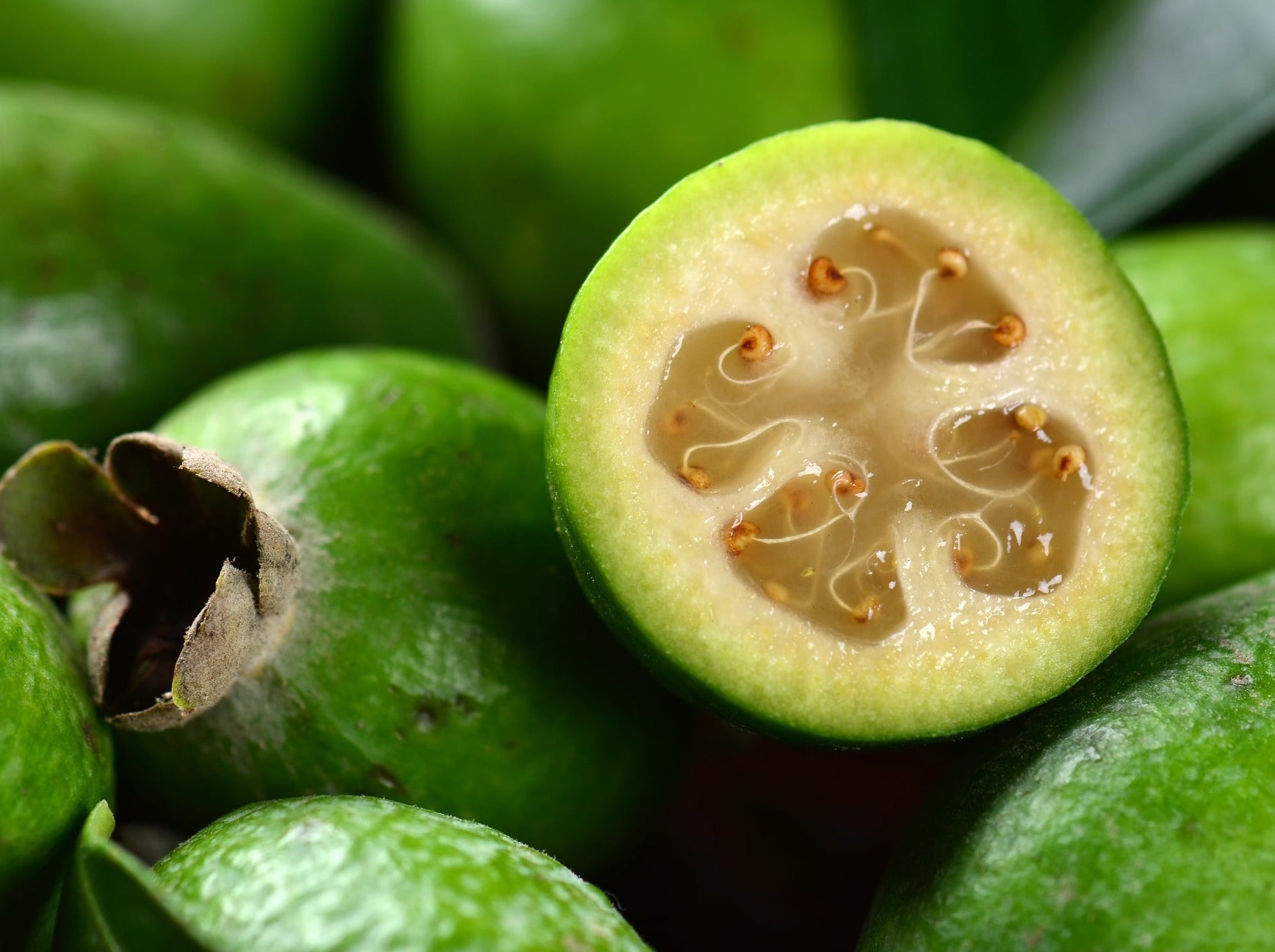 Local Organic Feijoas - MEDIUM