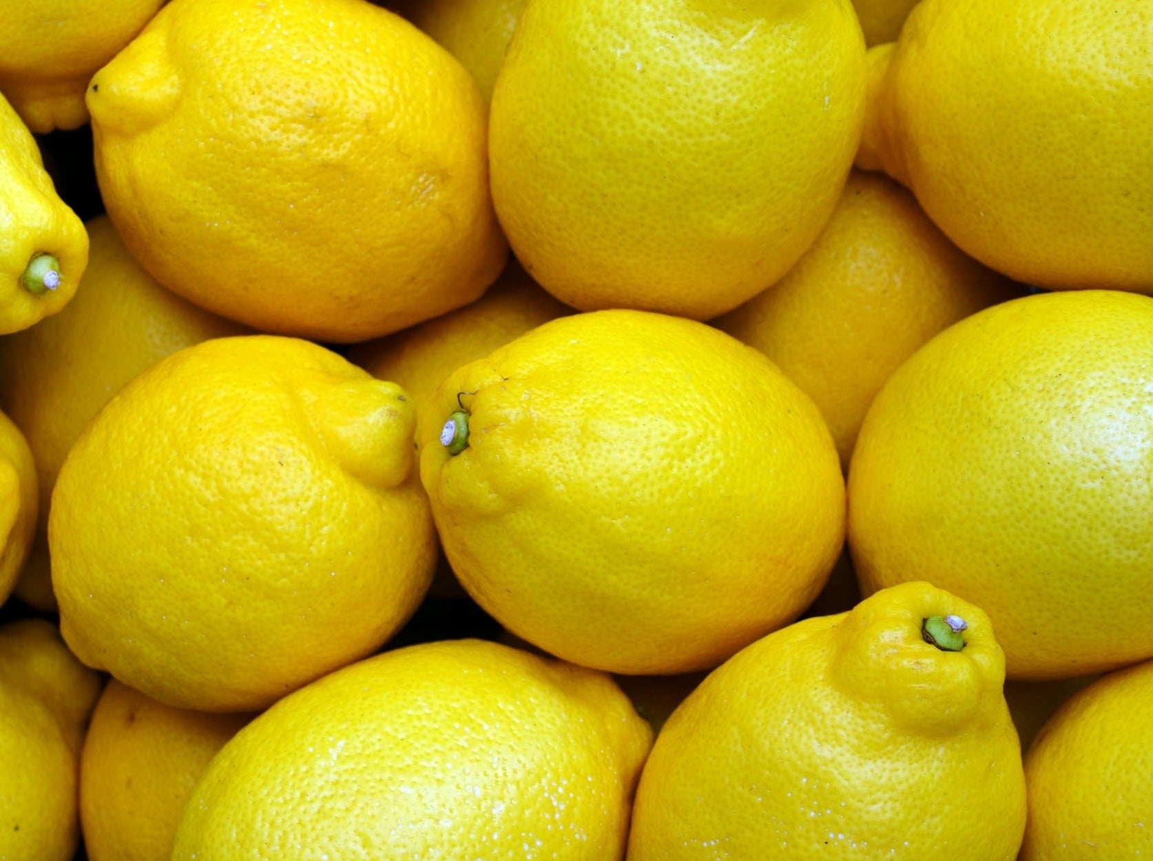 Local Organic Lemons