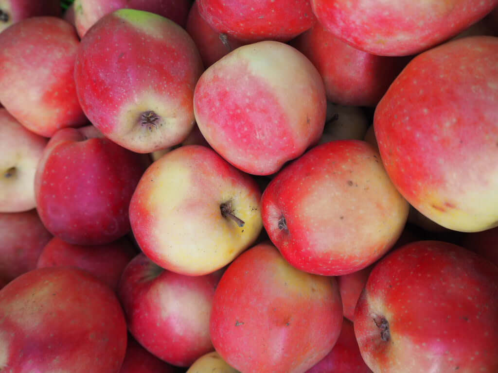 NZ Organic Apples - NZ Rose