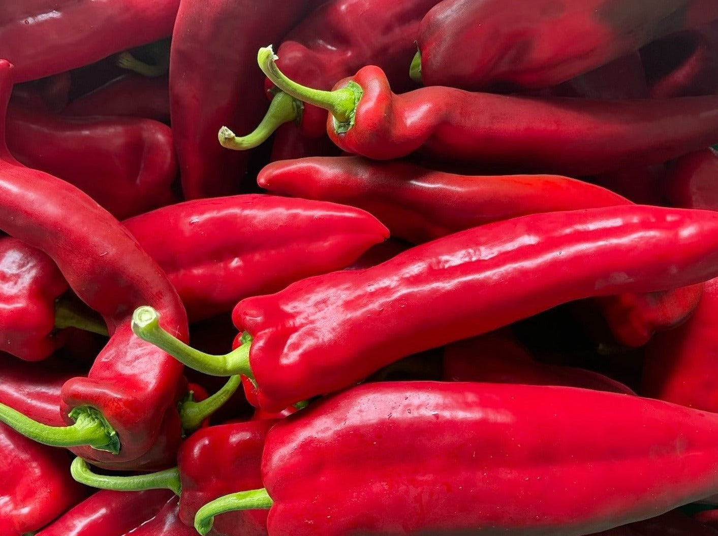 NZ Spray-Free Capsicum - Red Sweetpoint MED